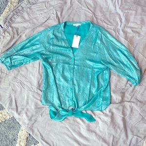 Teal blouse